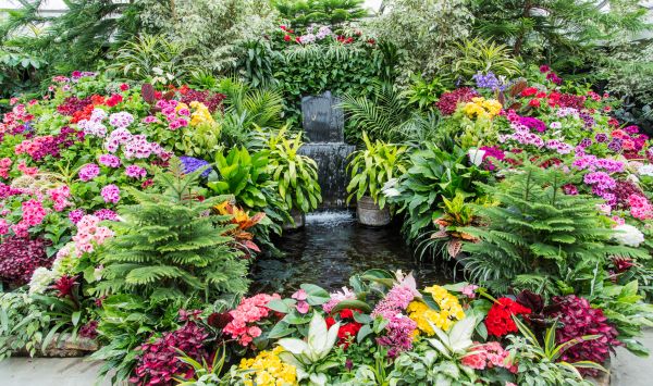 Floral Garden Design