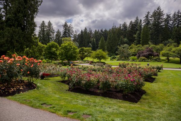 Flower Garden Landscaping