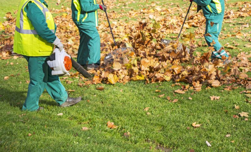 Leaf Removal at Dusk