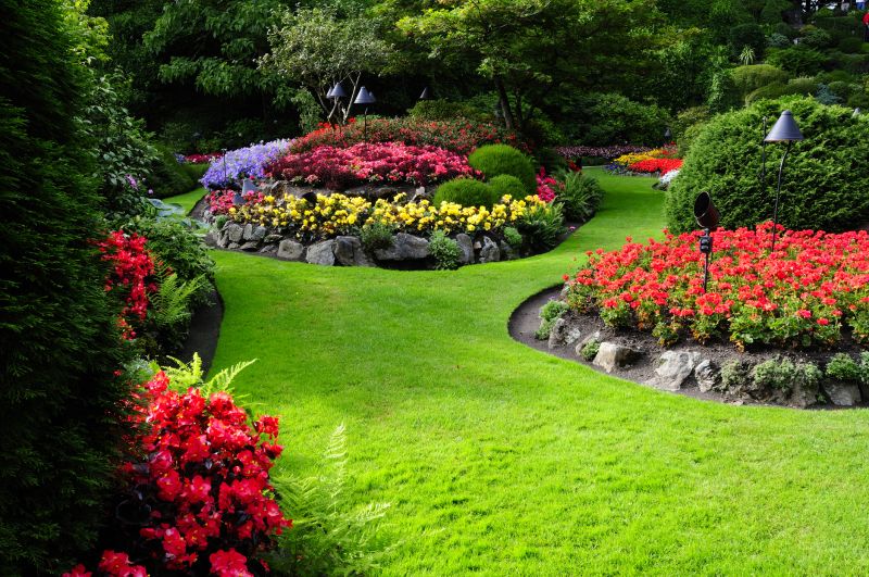 Beautiful Garden